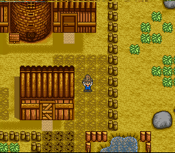 Harvest Moon screenshot 3 for Super Nintendo
